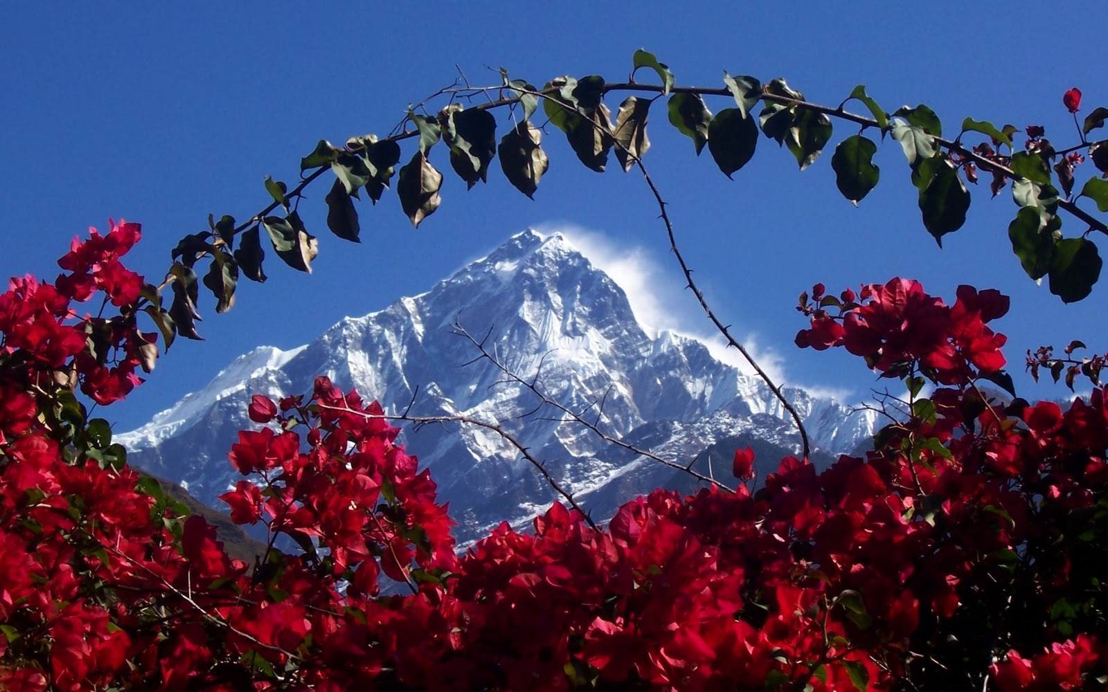 mountain