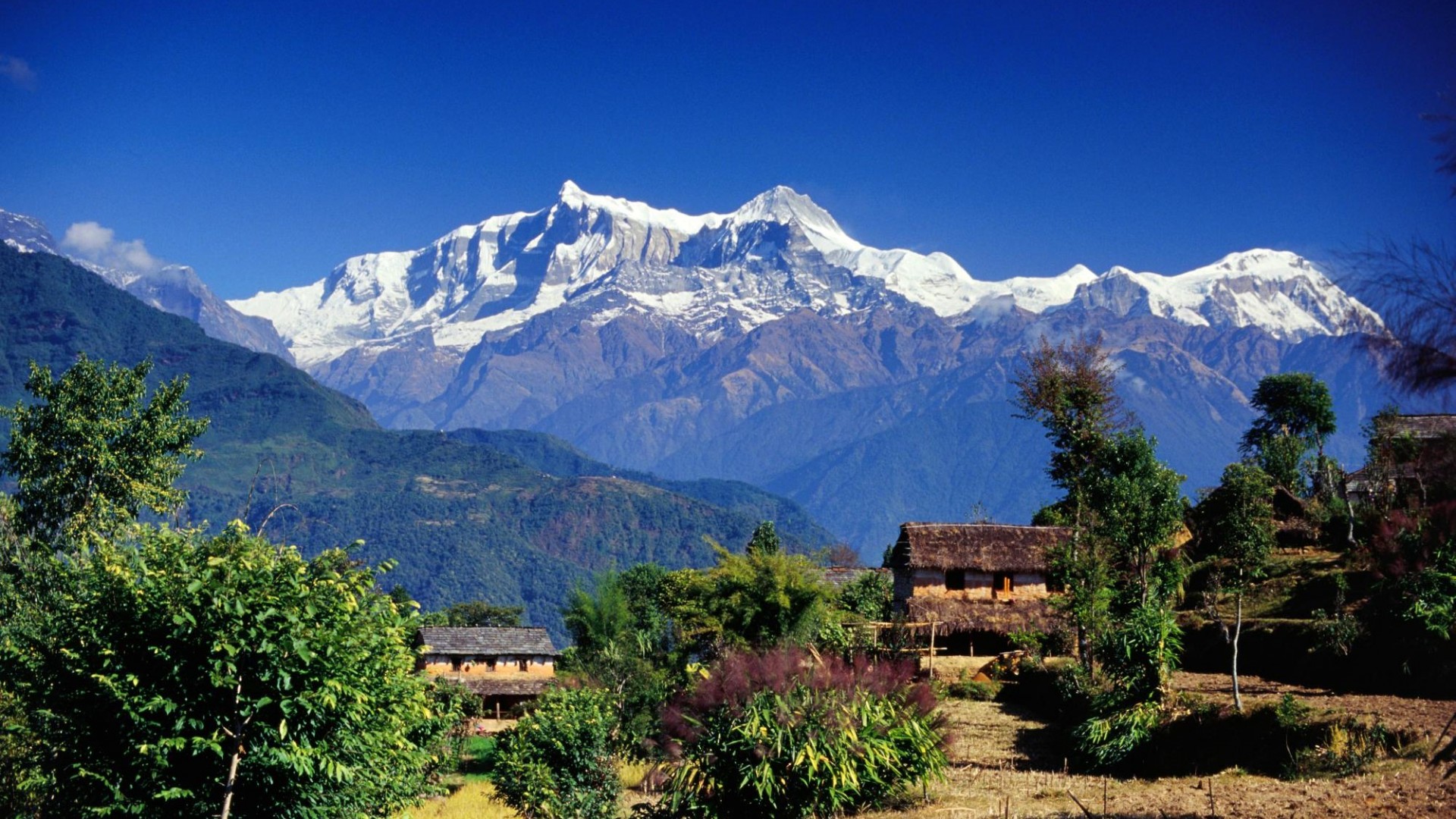 mountain