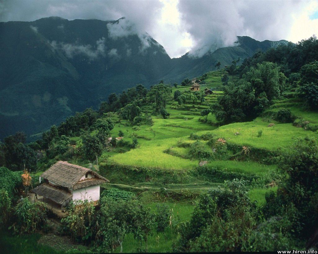 nature